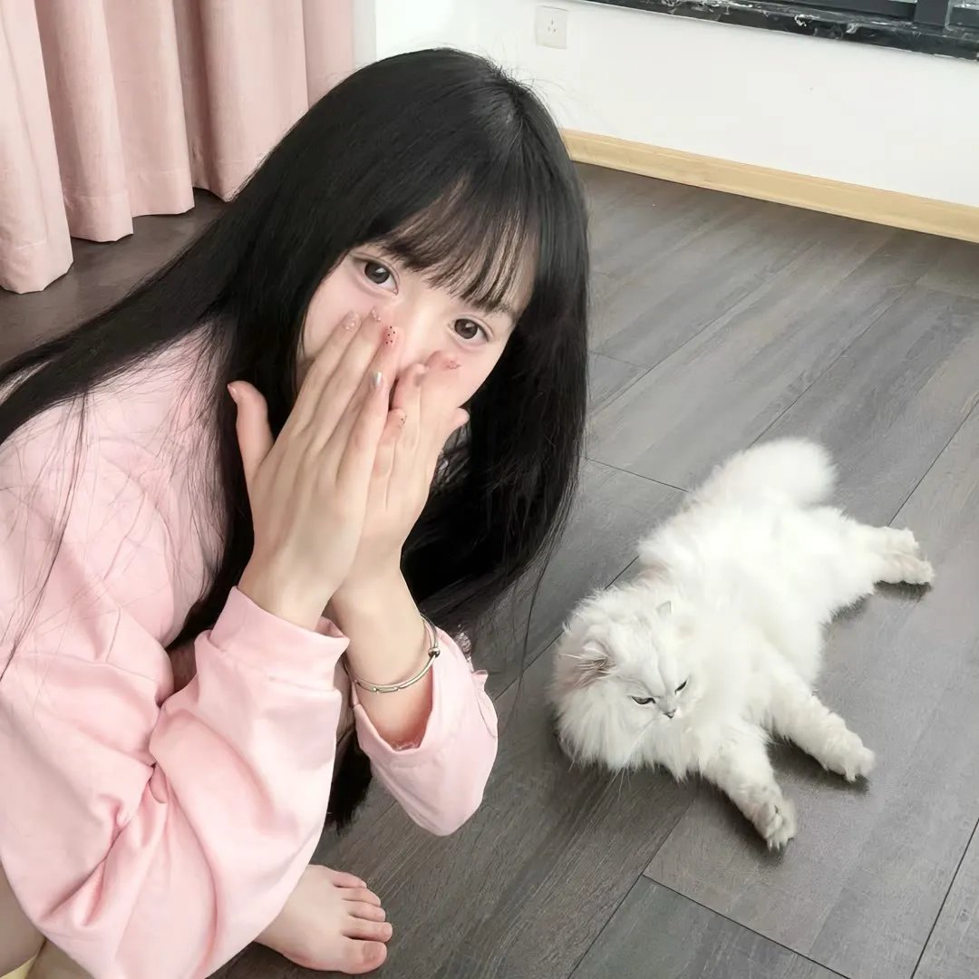 首尔破笑组
